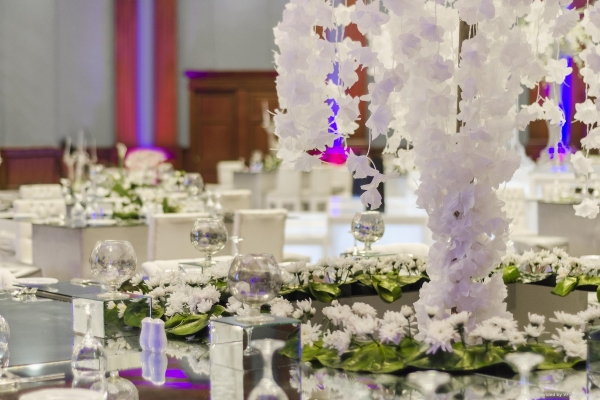 Hotel Hilton Alexandria Green Plaza